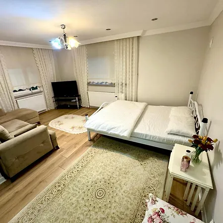 Luxury Villa Trabzon